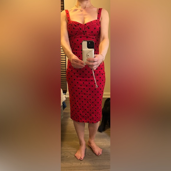 Gorgeous stunning 60’s pinup style dress, worn only a couple of times - Picture 6 of 11